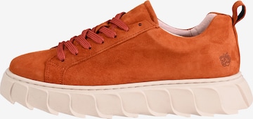 Apple of Eden Sneakers 'LIZO' in Brown