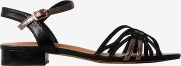 POTI PATI Sandal 'Supermodische Riemchensandalen' in Black: front