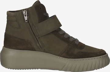 Sneaker alta di Paul Green in verde