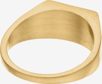 Steelwear Ring in Gold