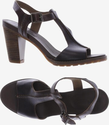 TIMBERLAND Sandals & High-Heeled Sandals in 40 in Brown: front
