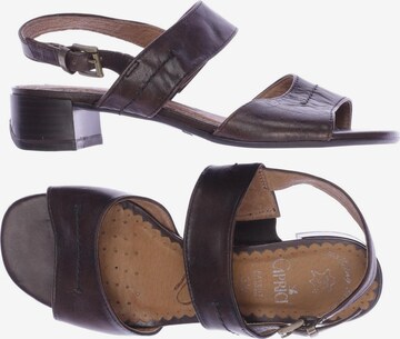 CAPRICE Sandals & High-Heeled Sandals in 36 in Brown: front