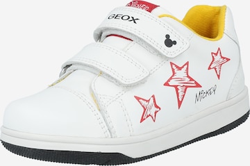 Sneaker di GEOX in bianco: frontale