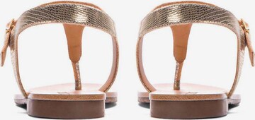 Kazar T-bar sandals in Gold