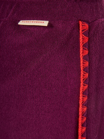 Funky Buddha Regular Pants in Purple