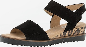 GABOR Strap Sandals in Black: front