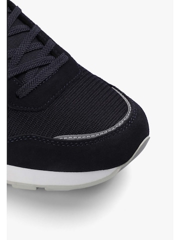 Scalpers Låg sneaker 'Scnubryan' i blå