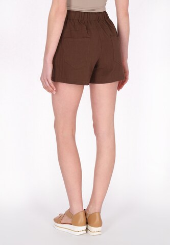 Usha Regular Pants in Brown