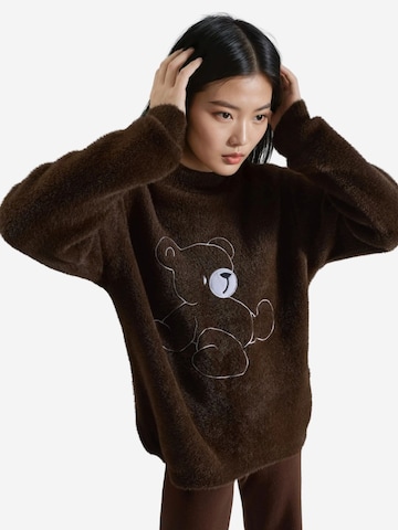 Pull-over 'Pullover' My fashion en marron : devant