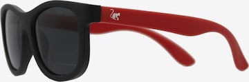 Surf Monkey Sunglasses in Red: front