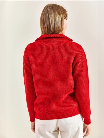 Bianco Lucci - Pullover 'Pullover' em vermelho