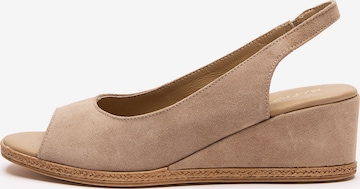 RYŁKO Sandaalit värissä beige: etupuoli