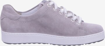 SEMLER Lace-Up Shoes in Beige