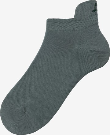 LASCANA Socks in Green