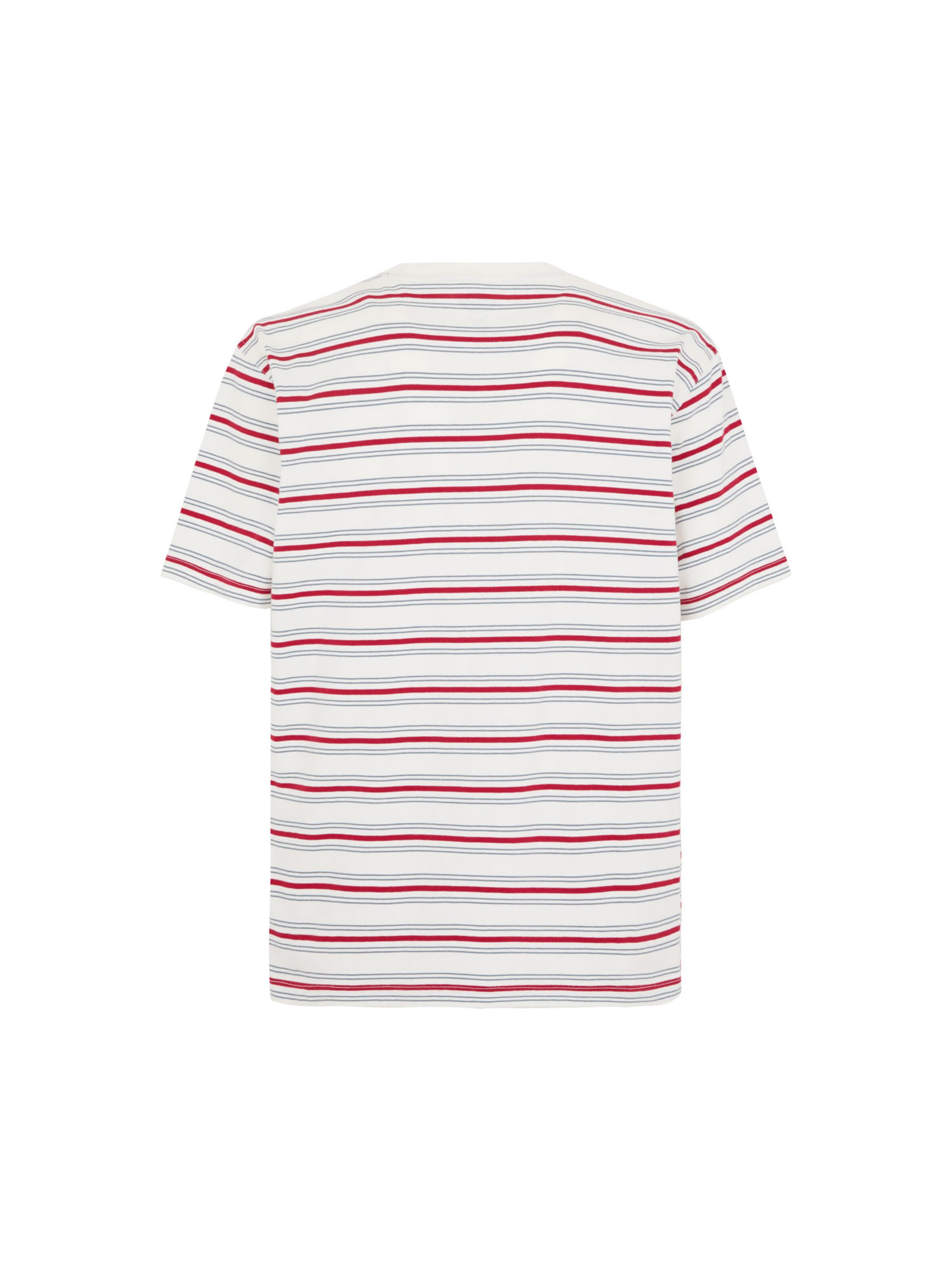 DICKIES Särk 'Lewistown', värv hall