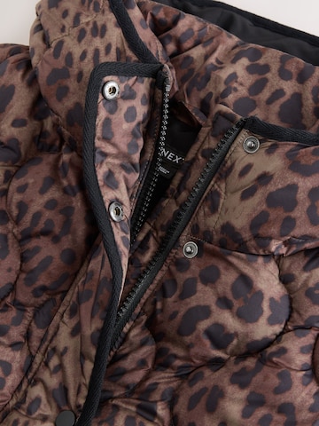 Next Between-season jacket in Brown