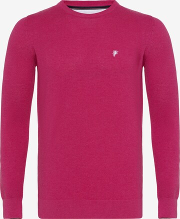 DENIM CULTURE Sweater 'LEVIN' in Pink: front