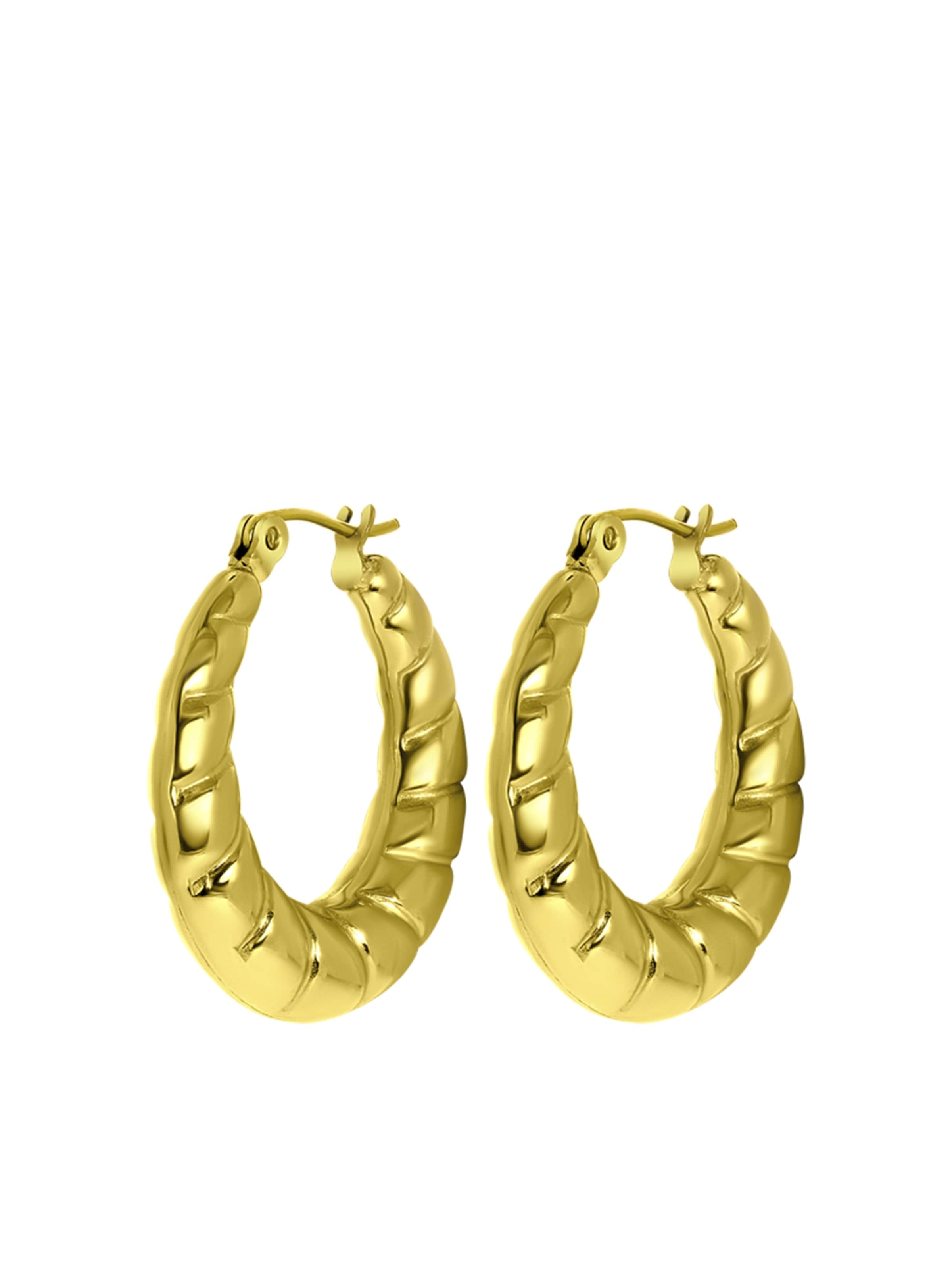 Lucardi Earrings in Gold: front