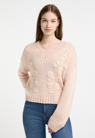 DreiMaster Vintage Trui 'Imane' in Roze: voorkant