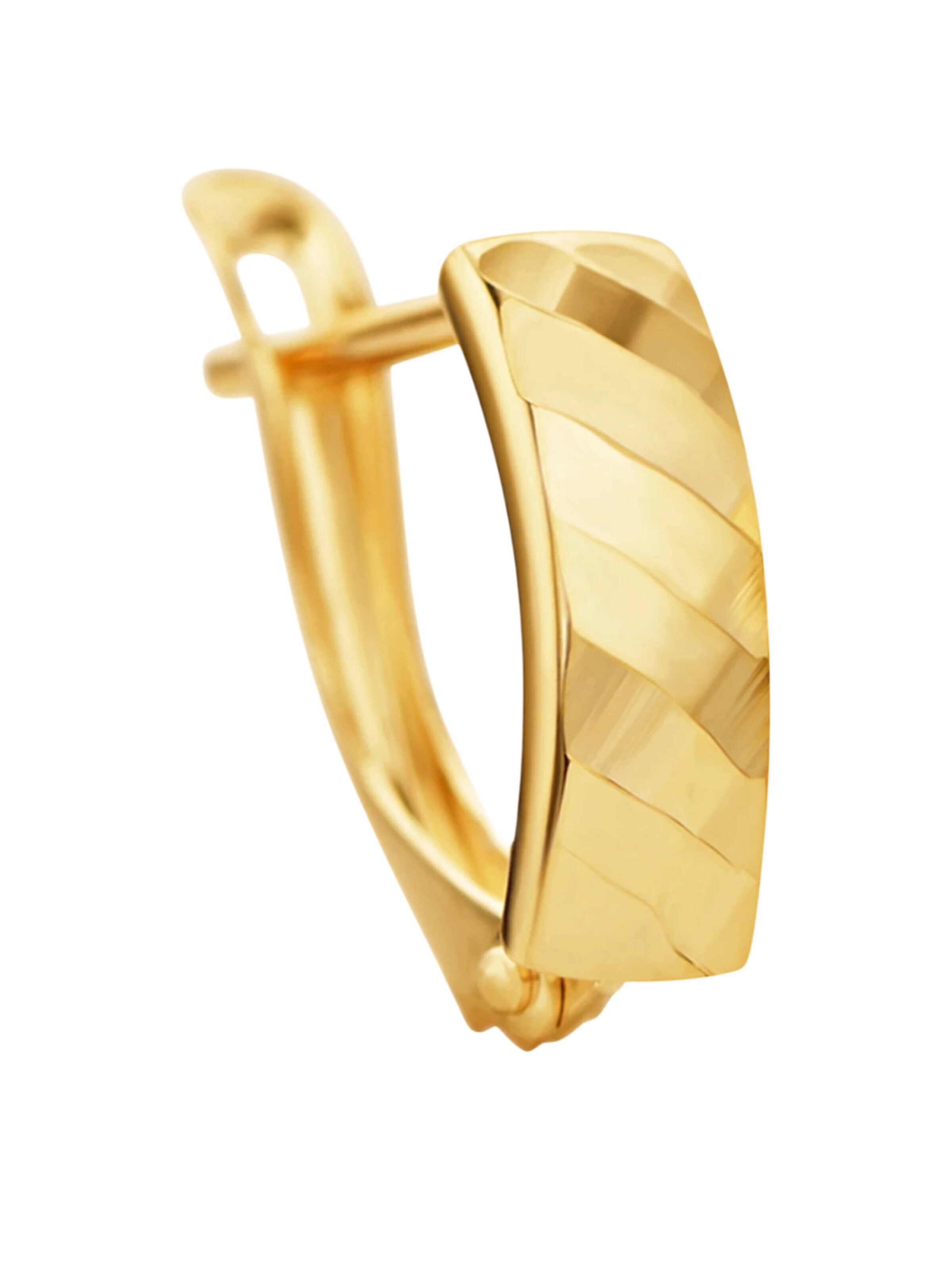 DIAMANT LETERNEL Earrings in Gold