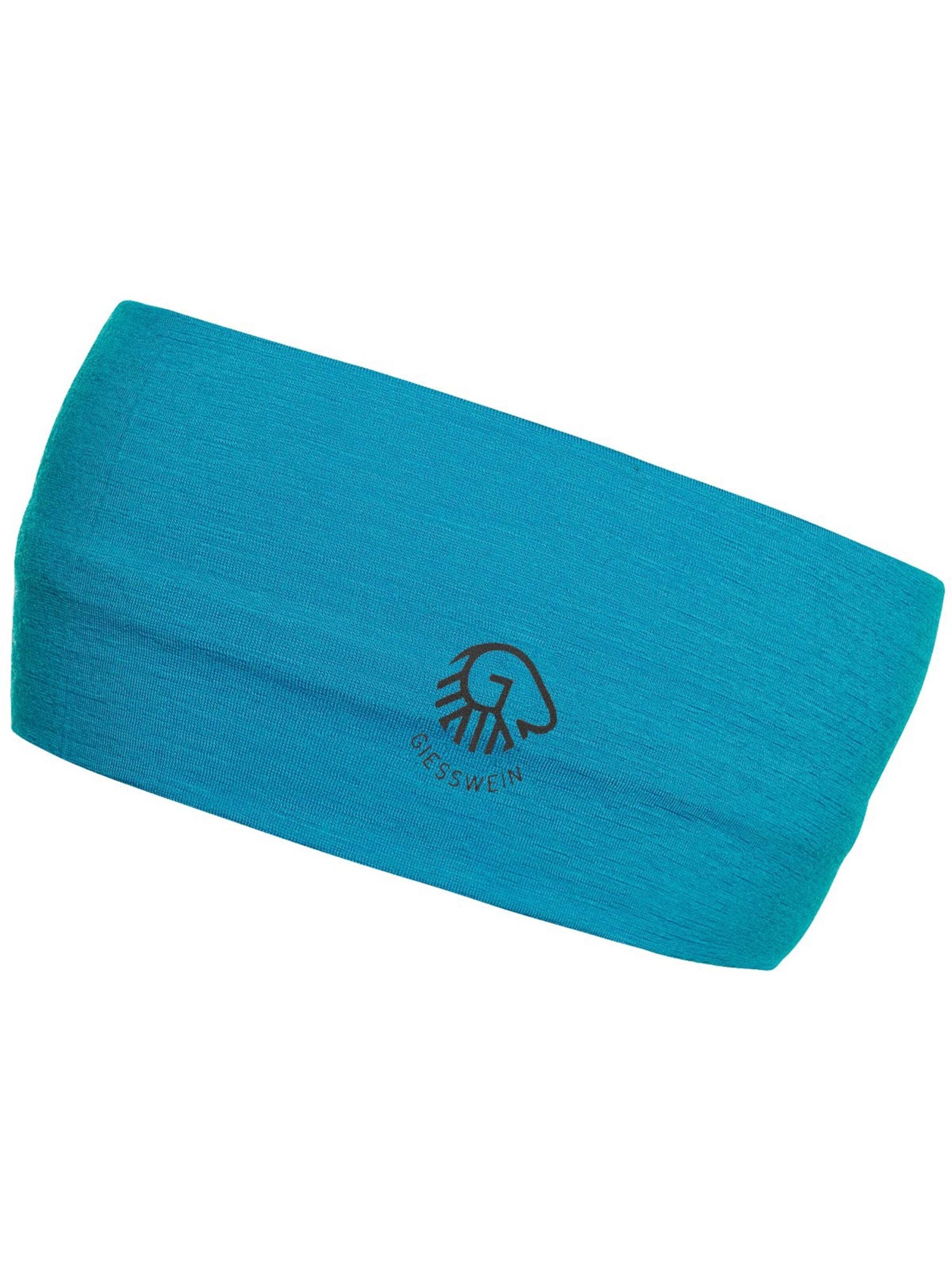 GIESSWEIN Headband 'Brentenjoch' in Blue: front