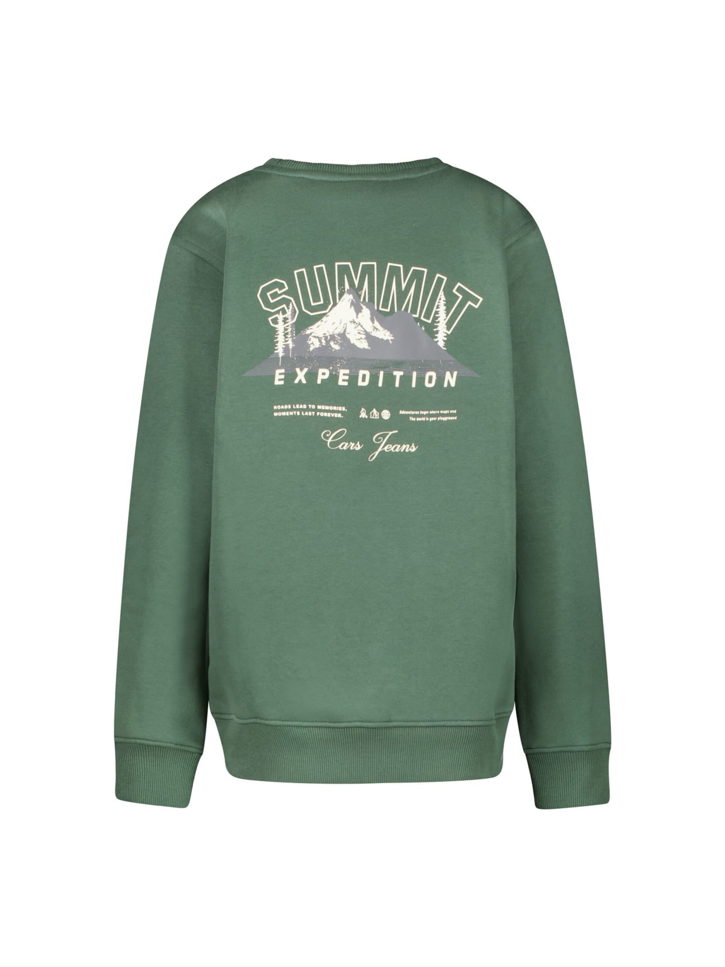 CARS Sweatshirt in Green