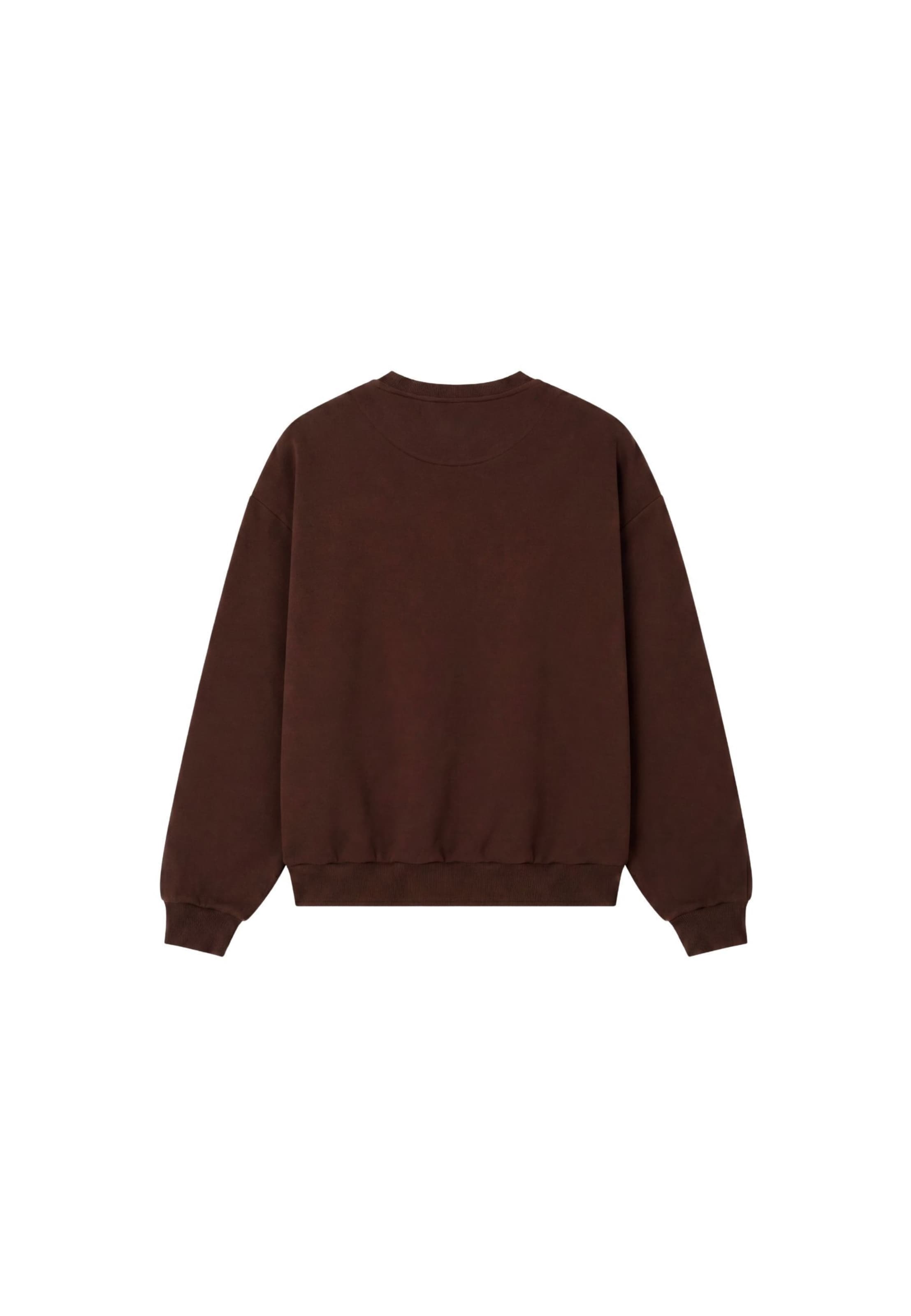 Colucci Sweatshirt 'College' in Bruin
