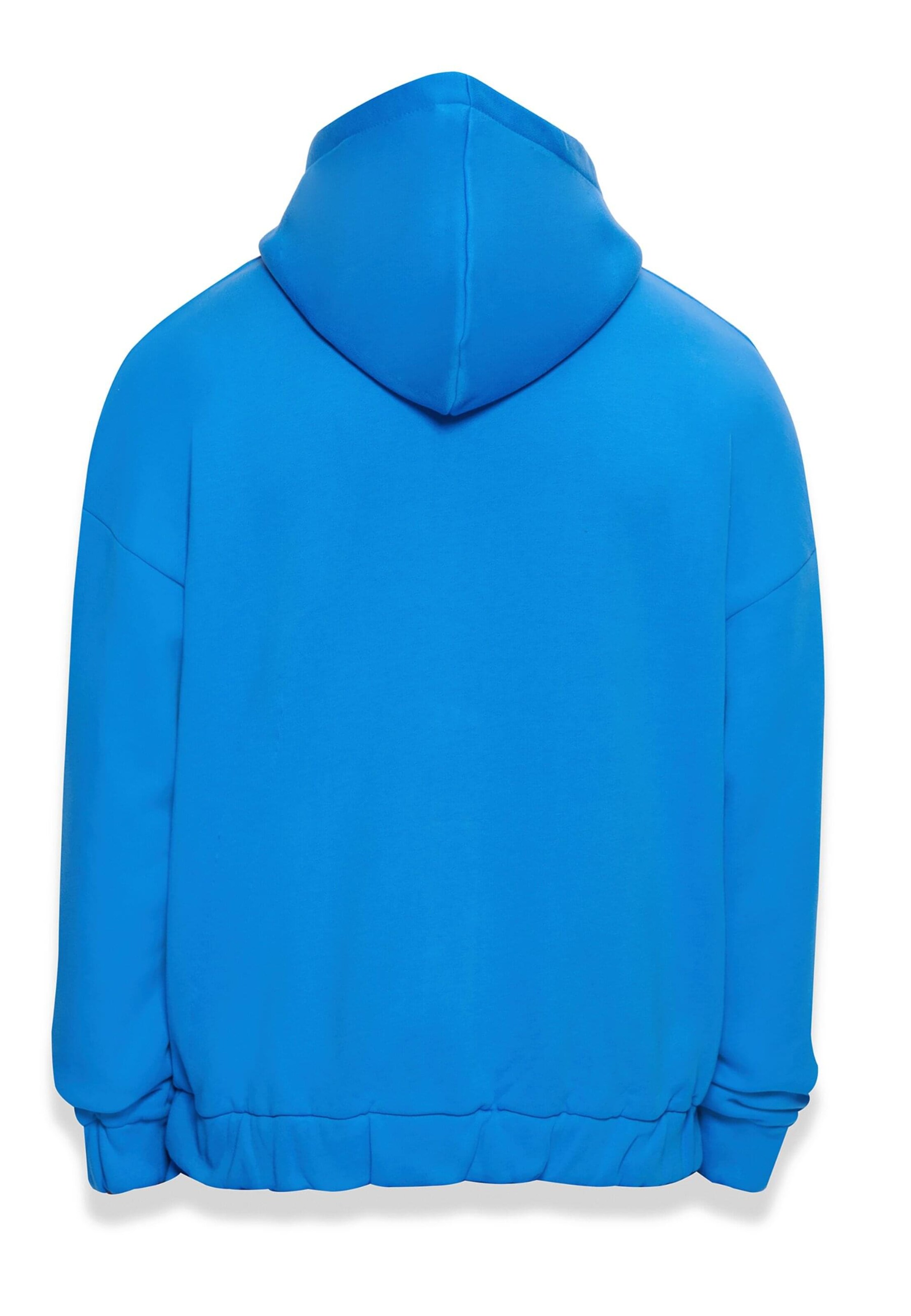 Dropsize Sweatjacke 'Bazix Republiq' in Blau