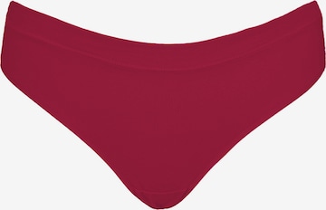 SugarShape Thong in Red: front