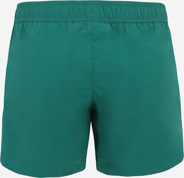 Champion Authentic Athletic Apparel Szorty kąpielowe w kolorze zielony