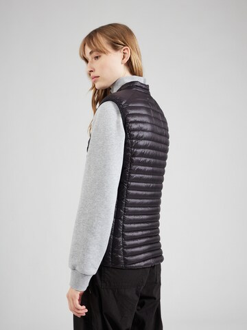 Frieda & Freddies NY Bodywarmer in Zwart