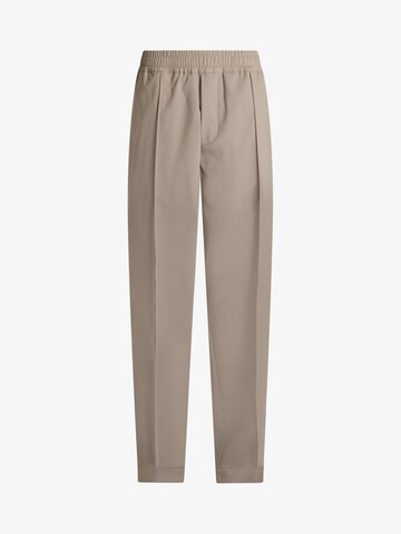 regular Pantaloni di DARK LABEL in marrone: frontale