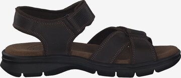 PANAMA JACK Sandals 'Sanders Basics C1' in Brown