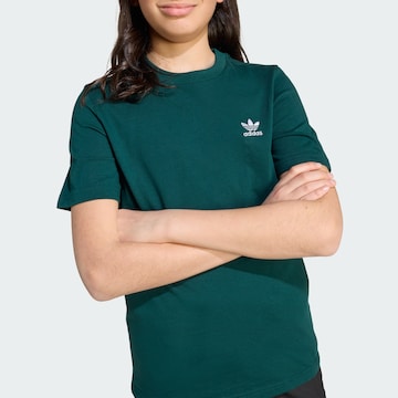 ADIDAS ORIGINALS T-Shirt 'Trefoil Essentials' in Grün