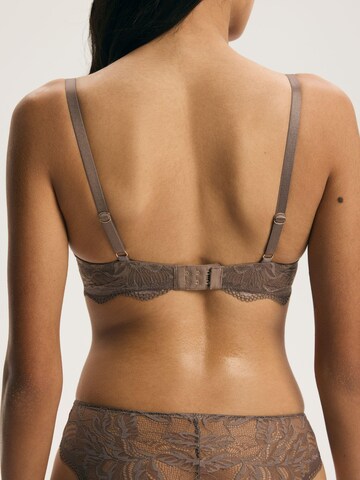 ESOTIQ - Push-up Sujetador 'Vivian' en marrón