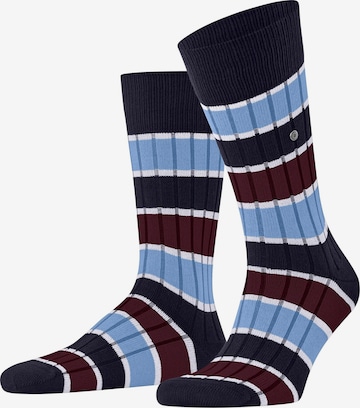 BURLINGTON Socken 'Beaming' in Blau: Vorderseite