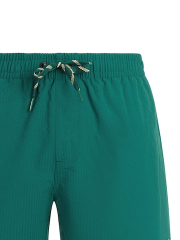 PROTEST Swimming shorts 'PRTAgden' in Green