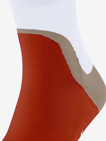 FALKE Socks 'Run Special Edition' in Grey: front