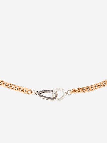 AllSaints Ketting in Goud