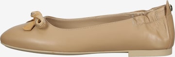 Nero Giardini Ballet Flats in Brown