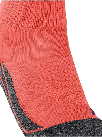FALKE Athletic Socks 'TK2 Explore Cool Short' in Orange