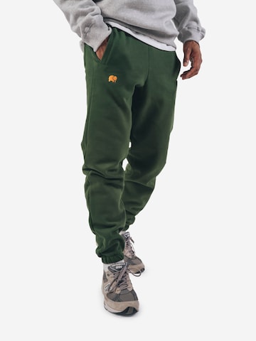 Trendsplant regular Παντελόνι φόρμας ' ESSENTIAL ' σε πράσινο