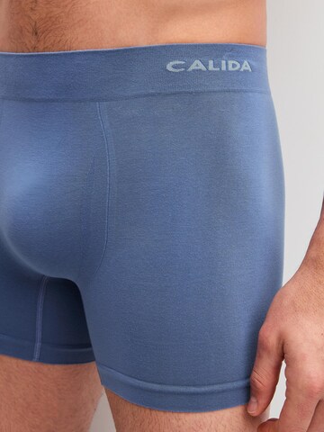 CALIDA Boxer shorts 'Seamless Natural' in Blue