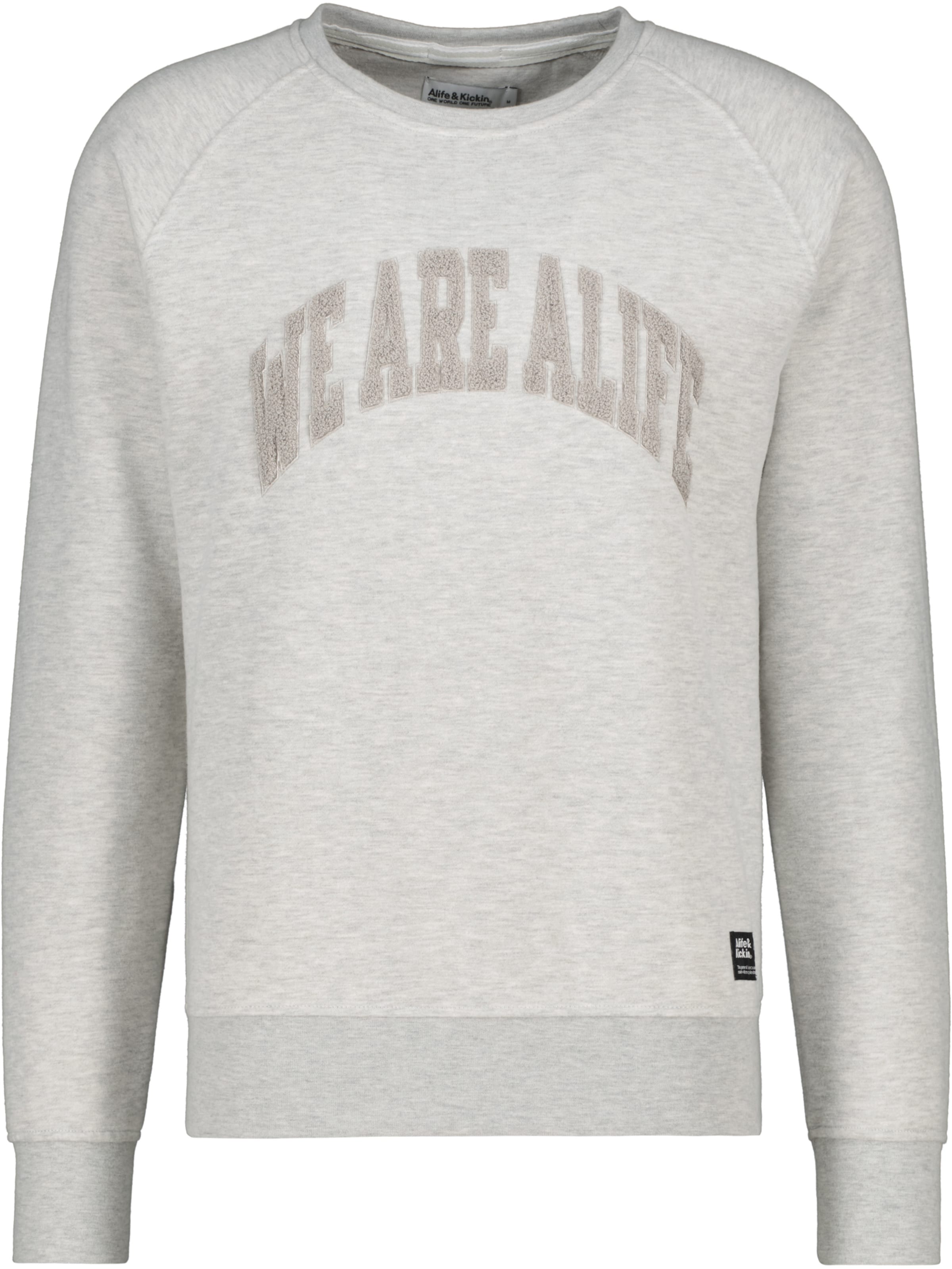 alife & kickin - Sudadera 'LevinAK' en gris: frente