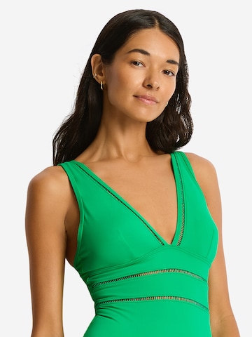 Maillot de bain 'Essentials Edit' SEA LEVEL en vert