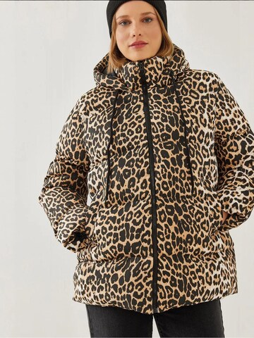 Bianco Lucci Jacke in Beige: Vorderseite