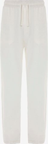 smėlio Dandalo Plačios klešnės Kelnės: priekis