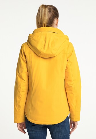 ICEBOUND Winter jacket in Yellow