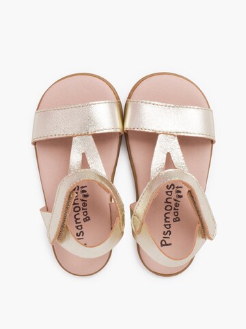 Sandales Pisamonas en or
