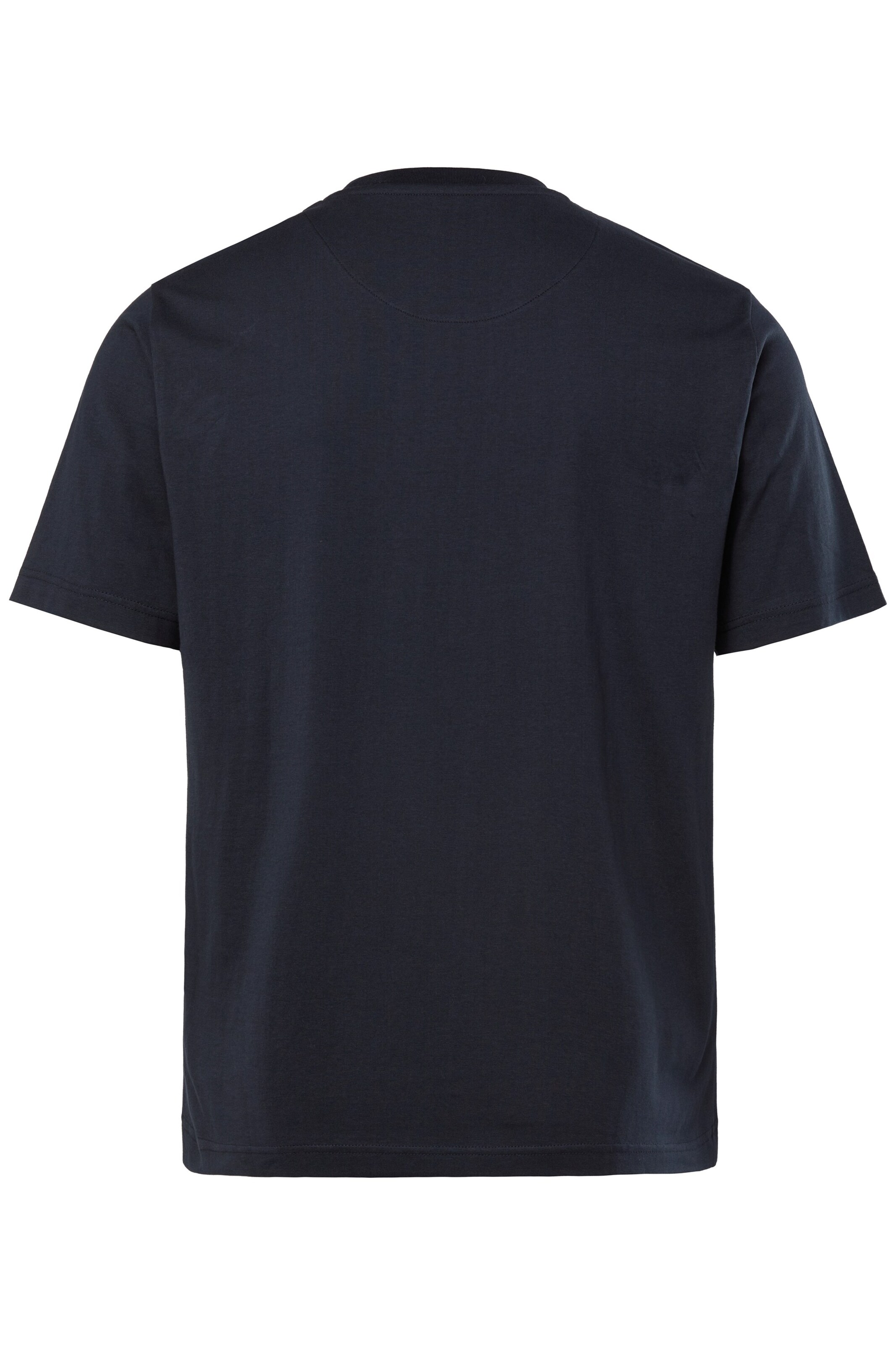 Men Plus Shirt in Blue